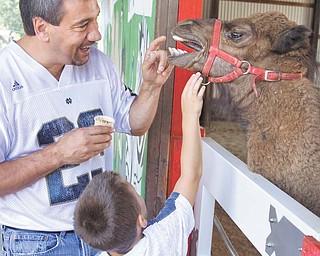Danny Guido of Leetonia and his son, Joseph, 5, hang out with Bubbie the camel, who was born in early March and now resides at Wagon Trails Animal Park in Vienna.
