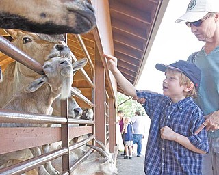 Colin Gruver, 6, of Ravenna reaches to pet the animals with his mother, Hallie Gruver, close behind in Dottie and LouÕs Petting Zoo at Wagon Trails.