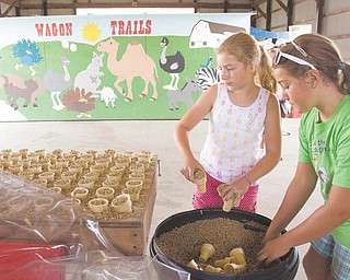 Sophie, left,11, and Sadie, 10, Bertok.