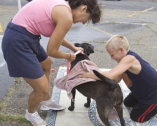 LISA-ANN ISHIHARA | THE VINDICATOR..Co-Founders of W.A.G.S. Canine Rescue, Mary Jo Nagy of Youngstown and boy scout Tyler Bartell, 12, of Youngstown, dry off 7 year old weimaraner/shar pei mix Hannah, outside of Happy Paws Spa & Day Care for a wellness clinic. Tyler is in boy scout troop #22 and is trying to earn his pets merit badge; which he earns by volunteering and helping animals.