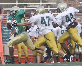 LISA-ANN ISHIHARA | THE VINDICATOR...Ursuline Jesse Curry #5 clears past the Canton GlenOak Eagles.. as he makes his way to the end zone for a touchdown,