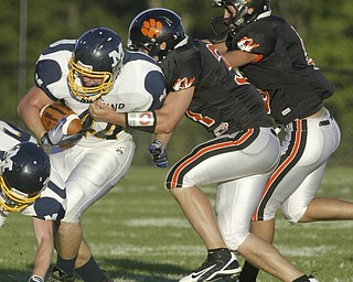 McDonald vs Springfield