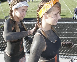 McDonald vs Springfield