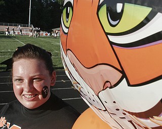 McDonald vs Springfield