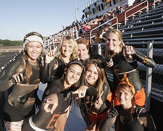 McDonald vs Springfield