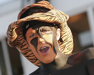 McDonald vs Springfield