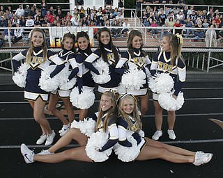 McDonald vs Springfield