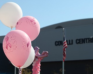LESLIE CUSANO | THE VINDICATOR.Pink balloons fly in front of the Covelli Center in downtown Youngstown during the Panerathon 10K & 2 mile fun walk/run Sunday. All money raised from the event will help build the Joanie Abdu Comprehensive Breast Care Center.