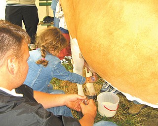Hailey Kadivar of Bradenton, Fla.. tries her hand at milking a cow. She is the granddaughter of Bob and Joan Stroh of Poland.