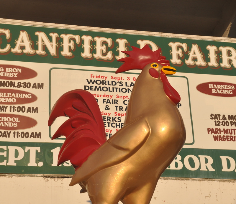 The Canfield Fair on Thursday, September 2, 2010.