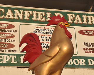 The Canfield Fair on Thursday, September 2, 2010.