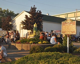 The Canfield Fair on Thursday, September 2, 2010.
