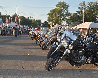 The Canfield Fair on Thursday, September 2, 2010.
