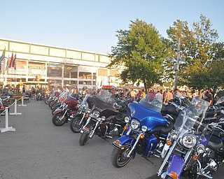 The Canfield Fair on Thursday, September 2, 2010.