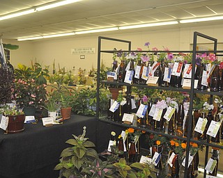 The Canfield Fair on Thursday, September 2, 2010.