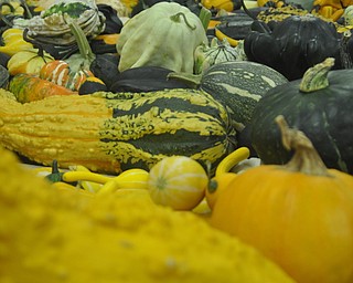The Canfield Fair on Thursday, September 2, 2010.