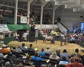The Canfield Fair on Thursday, September 2, 2010.