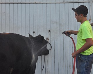 The Canfield Fair on Thursday, September 2, 2010.