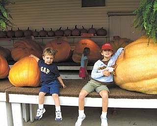 Tyler Kadivar, left, and Hailey Kadivar of Bradenton, Fla., see how they measure up next to giant pumpkins. They are the grandchildren of Bob and Joan Stroh of Poland.