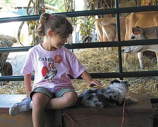 Hailey Kadivar of Bradenton, Fla., pets a puppy at the Canfield Fair. She was visiting with her grandparents, Bob and Joan Stroh of Poland.