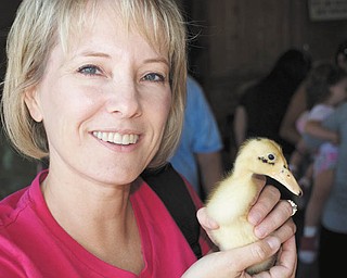 Karen Stroh of Bradenton, Fla., holds a duckling.
