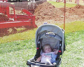 Lindsey sacks out at the fair. Photo submitted by Danielle Springer of Detroit, Mich.
