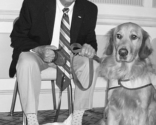 At a recent meeting of Youngstown Rotary Club, Irwin Stovroff spoke of a new program, “Veterans Helping Heroes,” and introduced two of the dogs involved in the program, at left, Jenny, a therapy dog, and Cash, a service dog. Stovroff, a World War II Prisoner of War and recipient of the Distinguished Flying Cross, and his partner, Jerry Kramer, established the Florida-based program to aid veterans who have been severely wounded in the global war on terrorism. The program provides assistance dogs that have been especially trained to give veterans mobility, independence and companionship. For more information on the program, visit www.VetsHelpingHeroes.org.