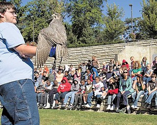 Cameron Merritt, 16, of Birds in Flight Sanctuary of Howland holds a gerfalcon for fourth-graders from two Warren public schools Tuesday during the annual Community Waters Festival in Perkins Park. The sanctuary nurses about 900 injured birds back to health per year from an 11-county area.