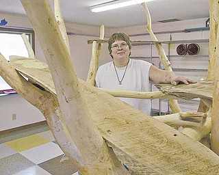 Kimm Koocher, owner of the Cat Ladies Society, stands behind a climbing tree in the society’s empty new shelter at 2217 Mahoning Ave., where humane agents seized all 90 cats under a search warrant in a Wednesday raid.