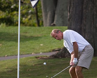Geoffrey Hauschild|The Vindicator
Dick Marlowe, of Tippecanoe CC. chips his ball onto the green while playing the 18th hole at The Lake Club on Saturday afternoon during the open division of the Greatest Golfer in the Valley tourney.