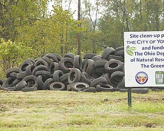 More than 30,000 tires are piled high in the vacant lot on Wilson Avenue.
