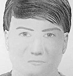 The Trumbull County Sheriff’s office is hoping that a $1,000 reward being offered by the family and friends of an assault victim will help identify a suspect, shown above in two police sketches. A woman in her 60s was riding her bicycle on Custer-Orangeville Road near the entrance to Sharon Speedway in Hartford Township at 1:30 p.m. Oct. 9 when a man around 30 years old in a gray Chevrolet Impala grabbed her, pulled her off of the road, choked her, and attempted to rape her. Anyone with information is asked to call the sheriff’s office at 330-675-2508.