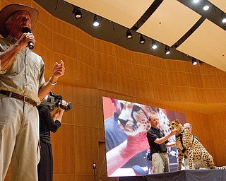 Geoffrey Hauschild|The Vindicator."Don't go to the bathroom unless you can do it faster than 75 mph," Jack Hanna said only half joking before bringing a cheetah on stage during a performance by the Youngstown Symphony in conjunction with Jack Hanna at the DeYor performing Arts Center on Sunday afternoon.