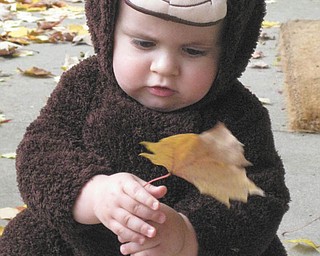 Jennifer and Kevin Willis of Boardman sent in this adorable photo of their son Brooks. He was just a year old when this picture was taken last Halloween.