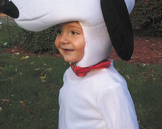 How could a face as sweet as that ever be in the doghouse? Jim and Casey Putko of Boardman sent in this photo of their 15-month-old son Jimmy, who is dressed as Snoopy.