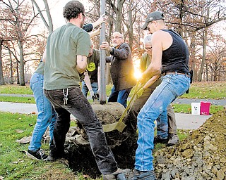Members of Treez Please, including Ralph Malmer of Austintown, center, plant a New Harmony elm tree on Elm Street in the devil strip near Wick Park on Saturday.