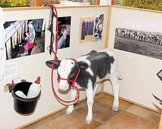 Part of the farm display at Fellows Riverside Gardens. (Nick Mays| Special to The Vindicator)