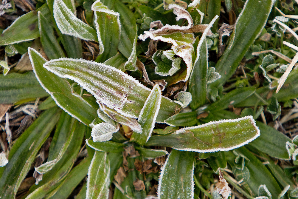 Photo detail