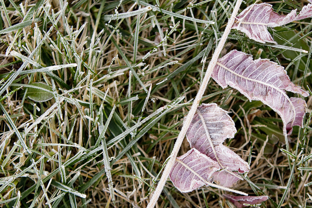 Photo detail