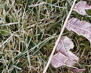 Frost covers the ground as the sun rises Friday morning. (Geoffrey Hauschild | The Vindicator)