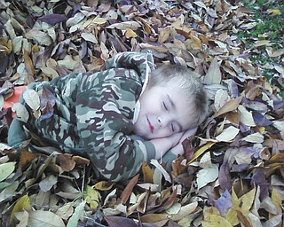 Hey, sometimes gathering all of those leaves together can really wear you out! Here, Grant Taylor of Youngstown catches up on a little rest after playing in the leaves in the yard. Photo submitted by Chip Taylor.