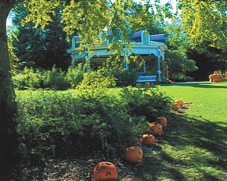Lana VanAuker of Canfield submitted this fall photo, which she shot in Mill Creek Park.