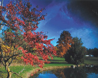 Lana VanAuker of Canfield captured these fall colors at Speece Lake in Canfield.