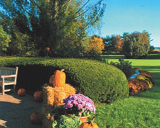 Lana VanAuker of Canfield snapped this familiar fall scene at Mill Creek Park Rose Garden.