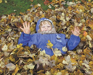 Jeremy Lodwick of Youngstown is playing in the leaves at his Great-grandma Vargo's house in Hubbard.