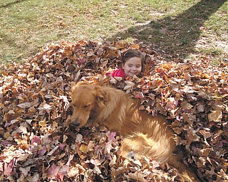 4-year-old daughter Carley Johnston of Poland enjoyed a beautiful fall day playing with Tucker, the family's golden retriever mix. Photo taken in October by her mom, Cara Johnston.
