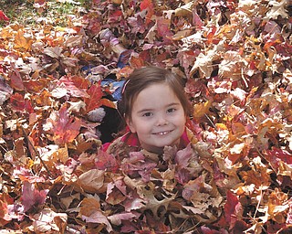 4-year-old daughter Carley Johnston of Poland spent a beautiful fall day playing in the leaves. Photo taken in October by her mom, Cara Johnston.