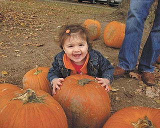 Camryn Hrina, 14 months, had a busy day picking out her pumpkin at White House Fruit Farms this fall. Photo submitted by her parents, Tim and Trish Hrina of Youngstown.