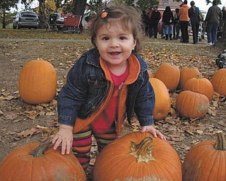 Camryn Hrina, 14 months, selects her favorite pumpkin while visiting White House Fruit Farms this fall. Photo submitted by her parents, Tim and Trish Hrina of Youngstown.