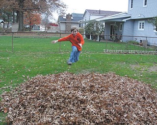 Robert Fay is about to rearrange this pile of leaves.